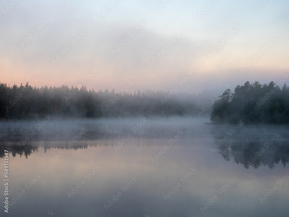 landscape with morning mist