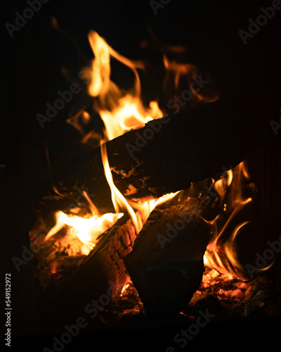 Burning firewood in the fireplace close-up
