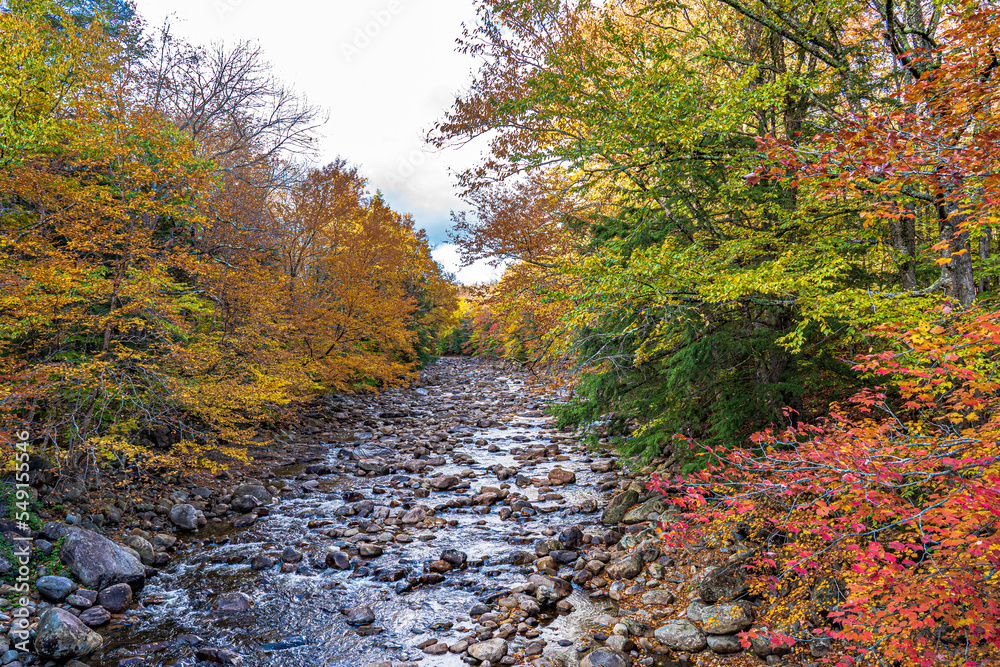 Fall color on an Adirondack creek