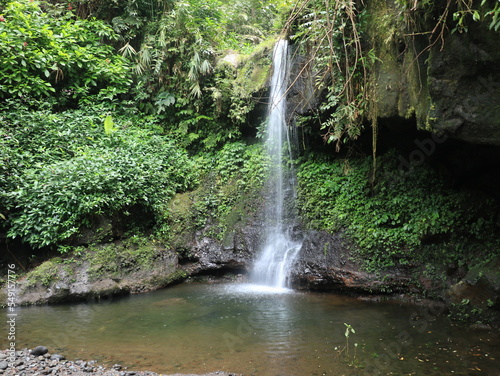 waterfall in the middle of a protected forest
