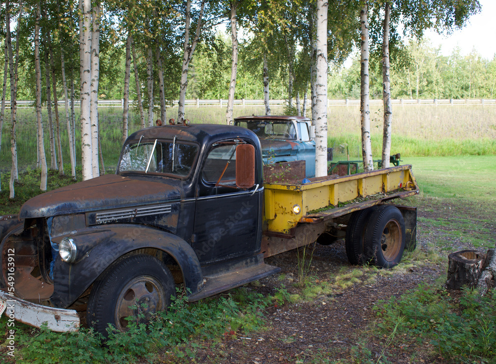 old rusted dump truck in woods
