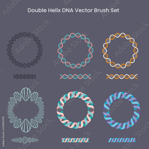 Double Helix DNA Vector Brush Set