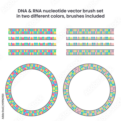 DNA and RNA Nucleotide Strand Vector Brush Set