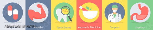 capsule, healthy, tooth germs
