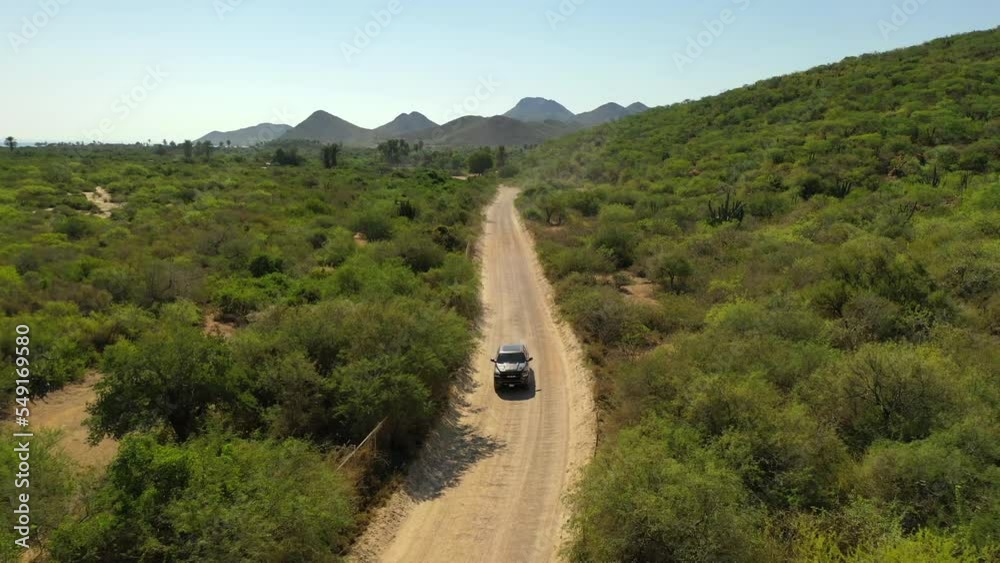 Aerial Backward Shot Of Car Moving On Road Amidst Green Plants Against Clear Sky - Baja California, Mexico Aerial Backward Shot Of Car Moving On Road Amidst Green Plants Against Clear Sky - Baja California, Mexico