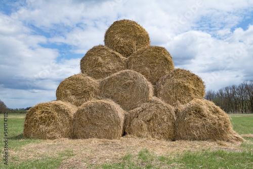 Pyramid of round rolls of harvested hay on a sunny May day