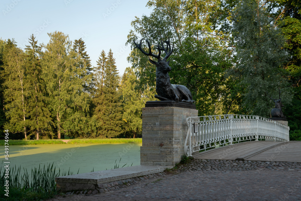 View of the Oleniy (Deer) Bridge in the Pavlovsk Palace and Park complex on a sunny summer day, Pavlovsk, Saint Petersburg, Russia