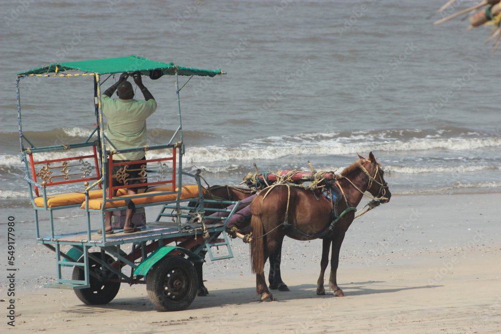 Horse-Carriage on the Beach