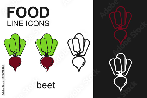 Different design beet on white and black background. Food line icons. Natural food background. Autumn.