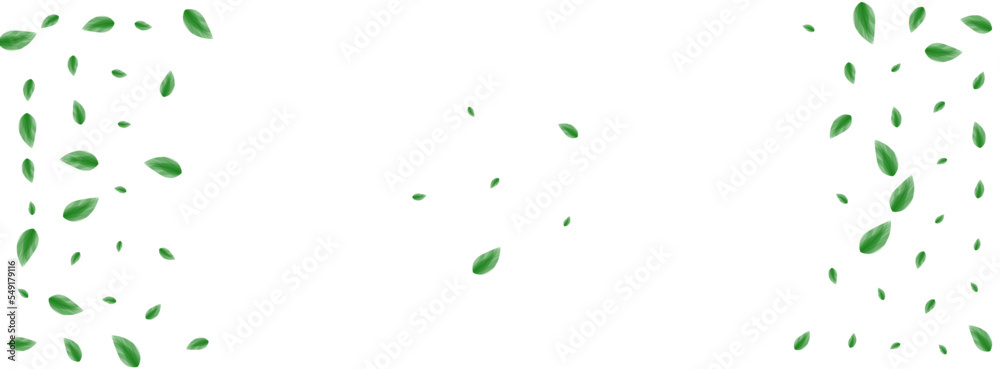 Green Leaves Background White Vector. Greenery Botanical Texture. Wind Design. Greenish Life Card. Leaf Woods. Green Leaves Background White Vector. Greenery Botanical Texture. Wind Design. Greenish Life Card. Leaf Woods.