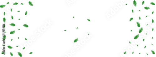 Green Leaves Background White Vector. Greenery Botanical Texture. Wind Design. Greenish Life Card. Leaf Woods.