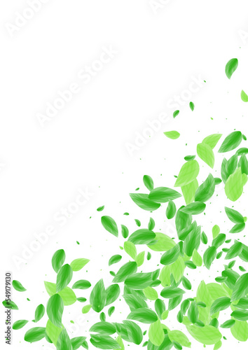 Greenish Leaf Background White Vector. Vegetation Simple Design. Summer Texture. Light Green Organic Frame. Sheet Vibrant.