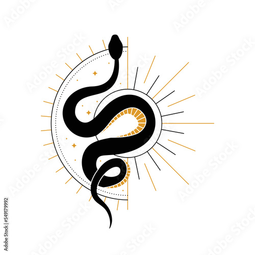 Abstract mystical composition with wriggling black snake, half sun. Boho style esotericism. Line art mystic vector