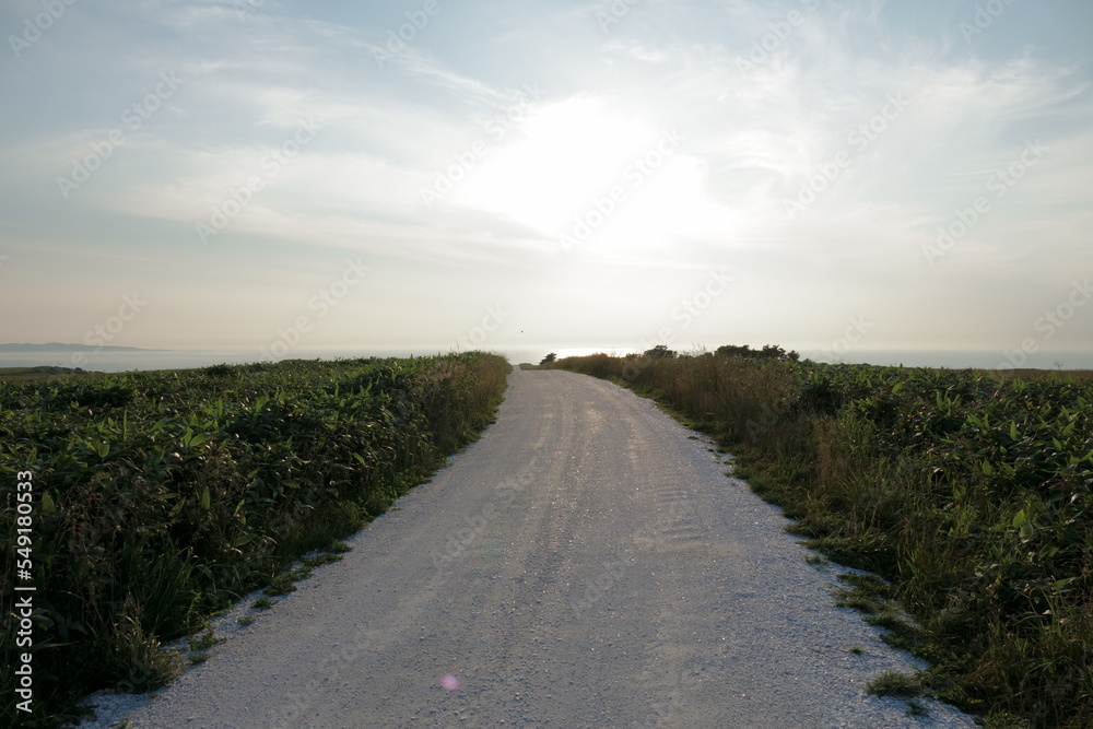The path made by white shells at Soya hills
The path made by white shells at Soya hills