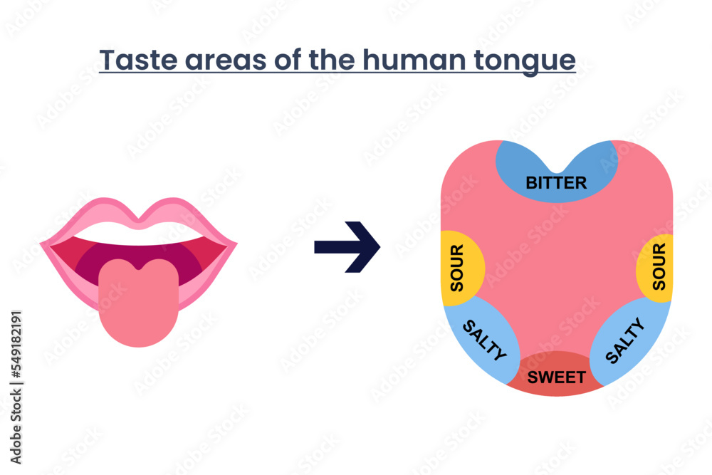 Prohibition of picking your nose tips for hygiene vector illustration