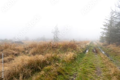 Mystischer Nebelwald im Lausitzer Gebirge 1