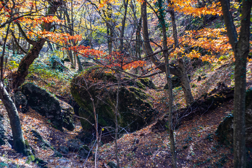 Autumnal landscape of Birtvisi canyon photo