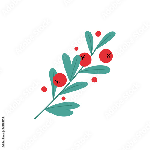 Merry Christmas Holly berry mistletoe for kisses. Mistletoe branch with red berries. Bouquet twig with green leaves. Flat vector illustration. Poster or postcard design.