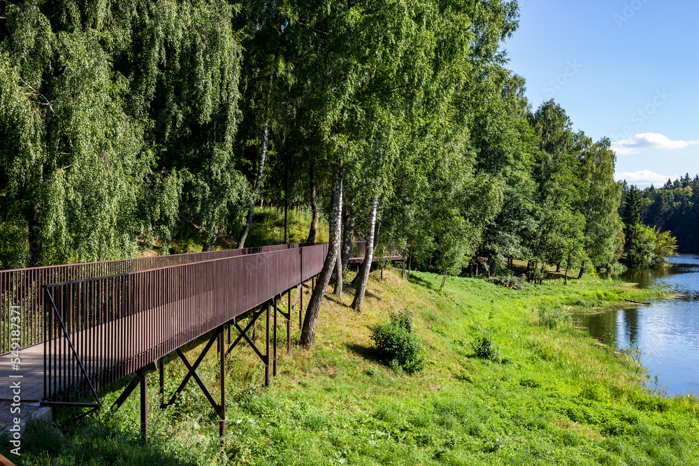 Walking footbridge laid between the trees growing near the reservoir Walking footbridge laid between the trees growing near the reservoir