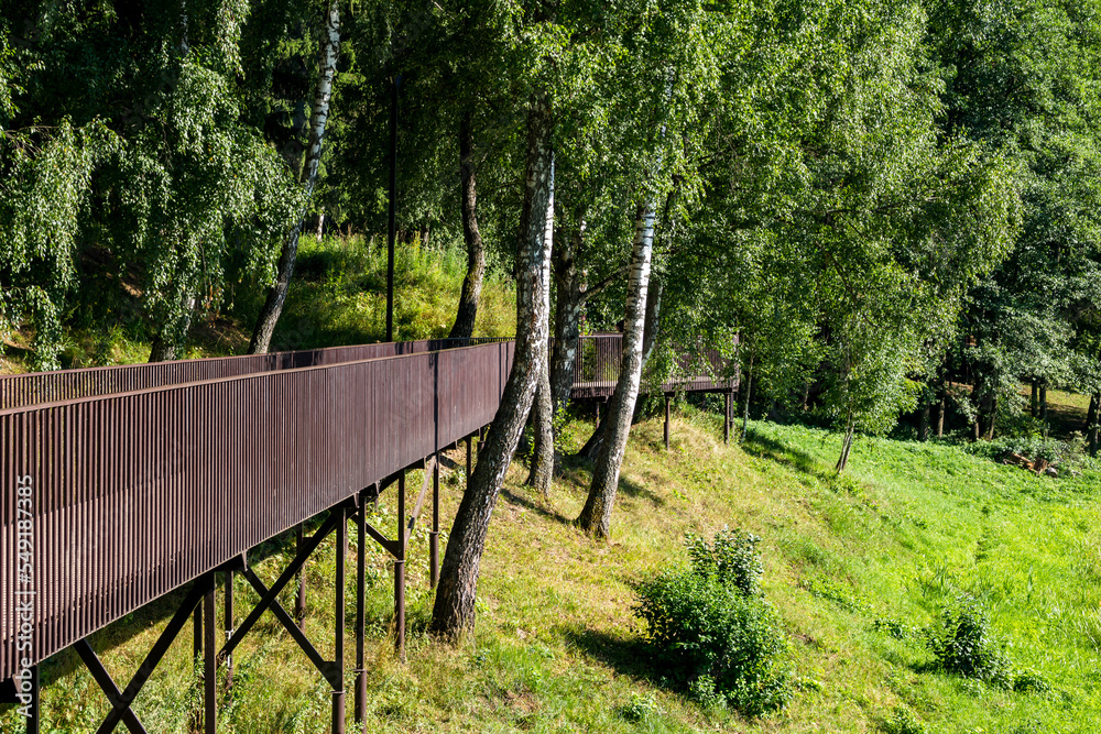 Walking footbridge laid between the trees growing near the reservoir
