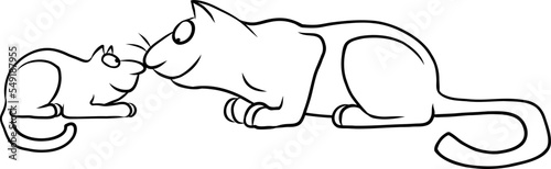 Große und kleine Katze beschnuppern sich freundlich beim Kennenlernen
