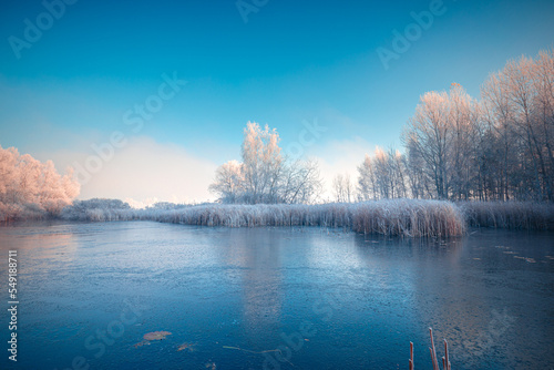 Bild auf Leinwand Gorgeous frosty morning with a frozen lake in November when the white rime covers everything around