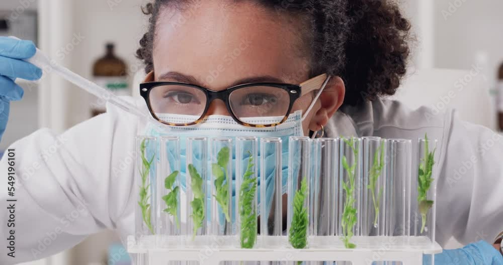Science, research and plant growth test tube of a scientist working in a biochemistry research. lab Futuristic, genetic biotechnology and agronomy investigation of woman laboratory worker planning