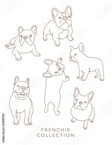 French Bulldog Outline Illustrations in Various Poses 2