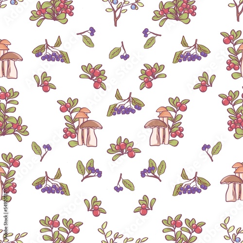 Seamless pattern with forest plants. Cranberries, strawberries, blueberries, mushrooms.