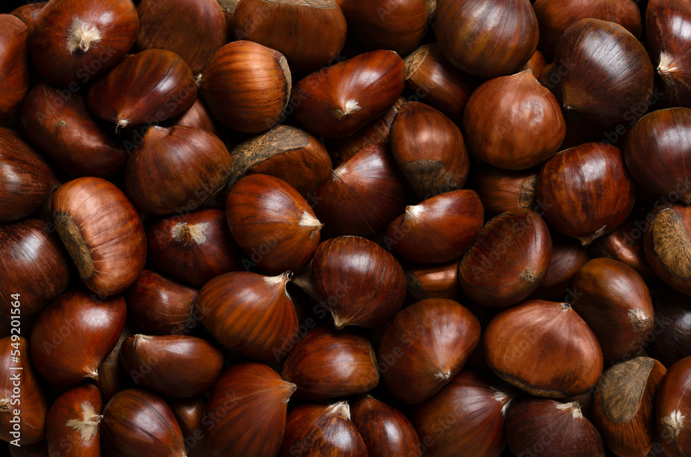 Chestnuts, background from above. Edible nuts of sweet chestnut, Castanea sativa. They can be eaten raw, candied, cooked or milled into flour, or they get roasted and sold as a warm snack on streets. Chestnuts, background from above. Edible nuts of sweet chestnut, Castanea sativa. They can be eaten raw, candied, cooked or milled into flour, or they get roasted and sold as a warm snack on streets.