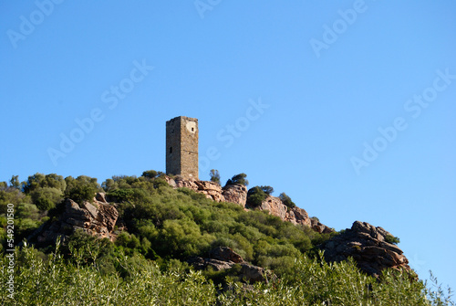 Veduta della torre di Casteldoria photo