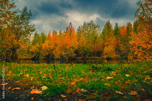 Autumn landscape near a forest lake covered with grass