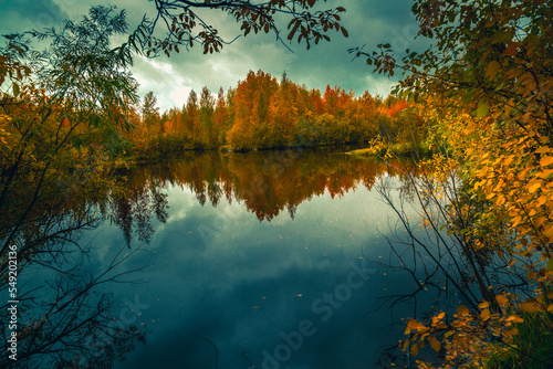 Autumn landscape near a forest lake covered with grass © ads861