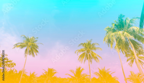 The holiday of Summer  holiday colorful theme with palm trees background as texture frame background © SASITHORN