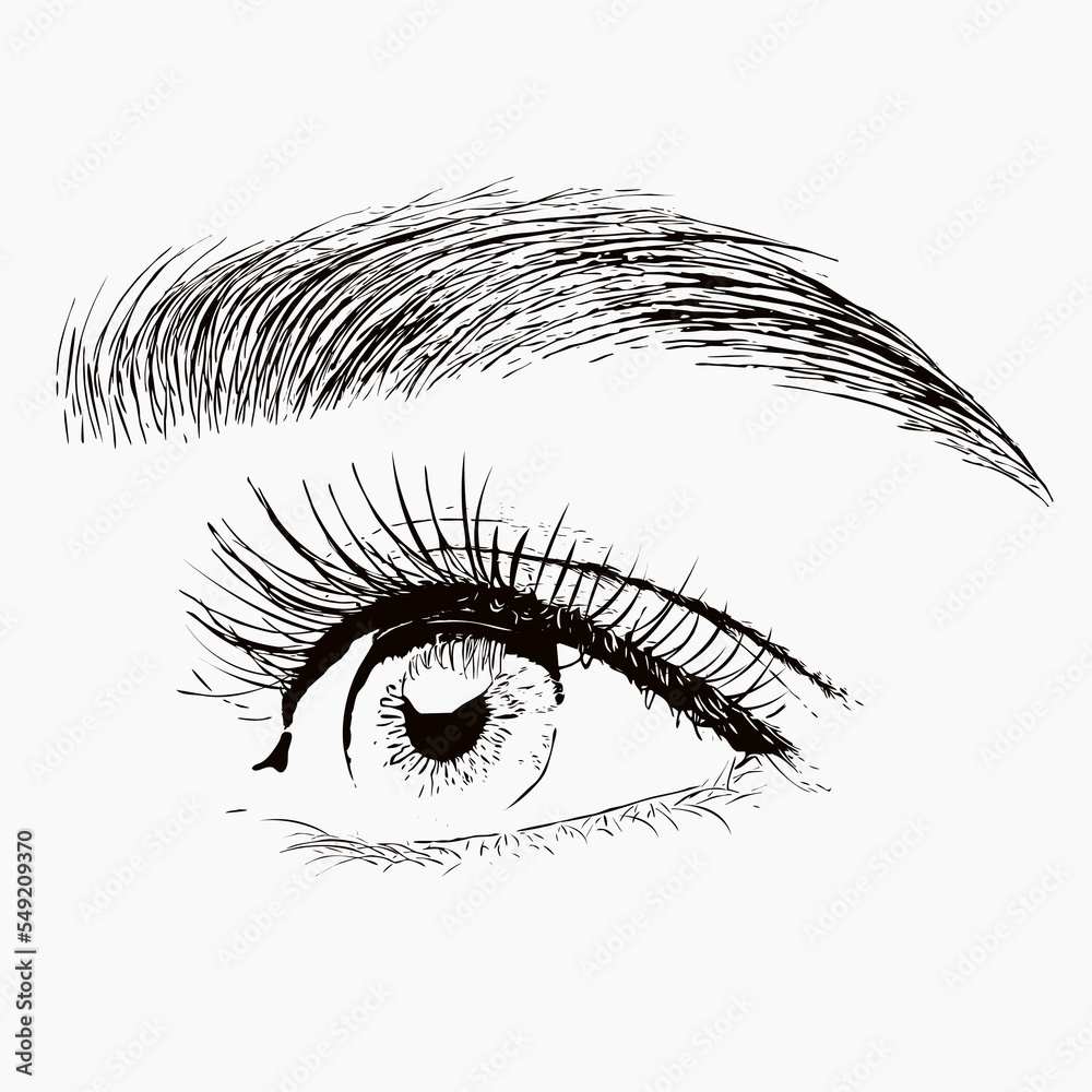 Obraz premium Illustration. The make-up artist does Long-lasting styling of the eyebrows of the eyebrows and will color the eyebrows. Eyebrow lamination. Professional make-up and face care.