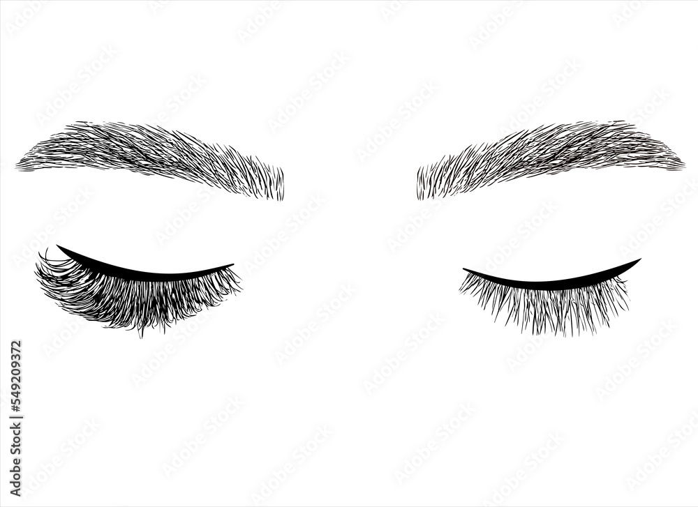 Eyelash extension illustration. Long-lasting styling of the eyebrows. Eyebrow lamination. Professional make-up and face care. Eyelash extension illustration. Long-lasting styling of the eyebrows. Eyebrow lamination. Professional make-up and face care.