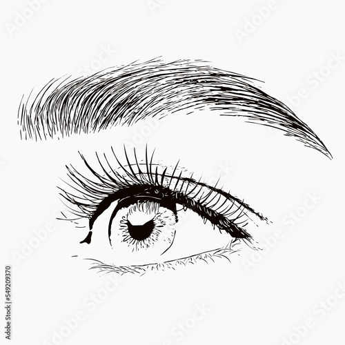 Illustration. The make-up artist does Long-lasting styling of the eyebrows of the eyebrows and will color the eyebrows. Eyebrow lamination. Professional make-up and face care.