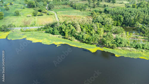 Drone shoot above colorful green texture in nature.Summer in forest aerial top view. Mixed forest, green deciduous trees. Soft light in countryside woodland or park. amazing.