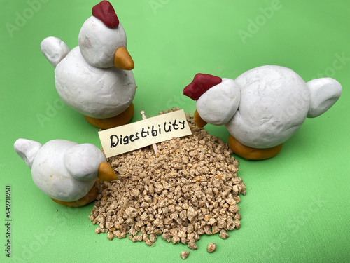 CONCEPT, Digestibility and Enzymes efficacy for animal performance, table, data, research, journal, image for feed additive product brochures designs, presentation, aquatic and poultry