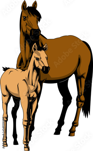 Realistic Cartoon Mare And Foal Horse. Hand Drawn Illustration Isolated On Transparent Background