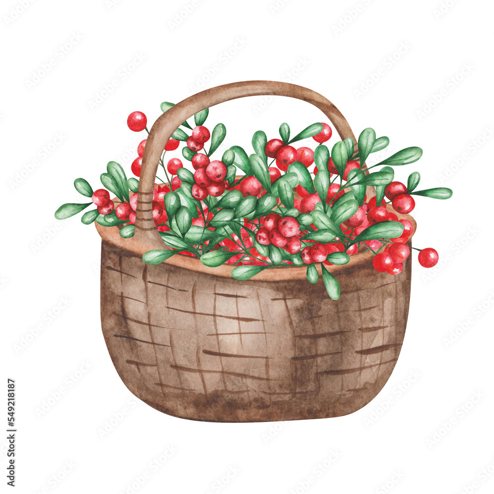 Watercolor illustration of hand painted brown woven basket filled with ...