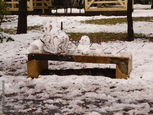 horse in snow