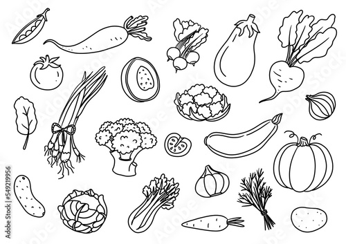 Vegetables doodle hand drawing collection. Fresh organic food such as carrot, tomato, cauliflower, cucumber, cabbage, potato, etc.