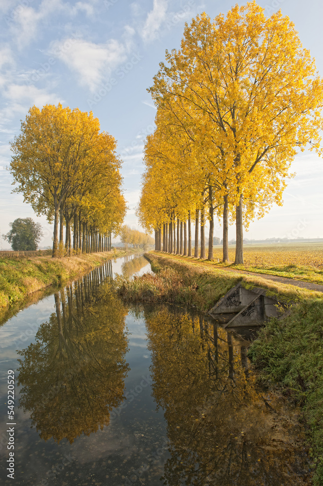 Canal de L’Espierres in autumn, Leers-Nord, Belgium