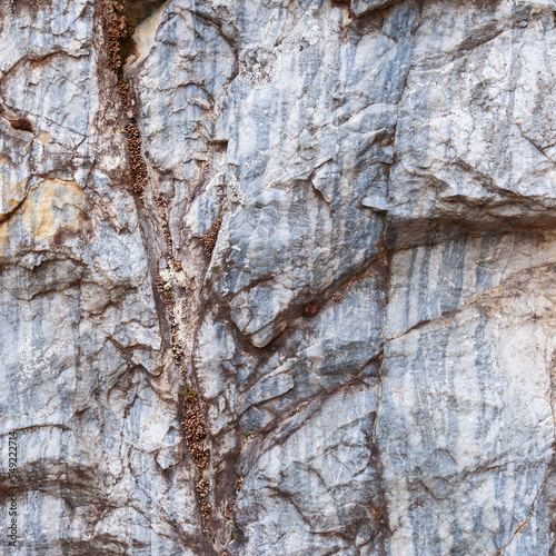 An old gray stone with blue stripes in the cracks, covered with fungus and mold. 