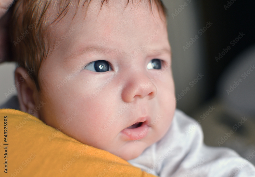 Newborn baby boy close up portrait Newborn baby boy close up portrait