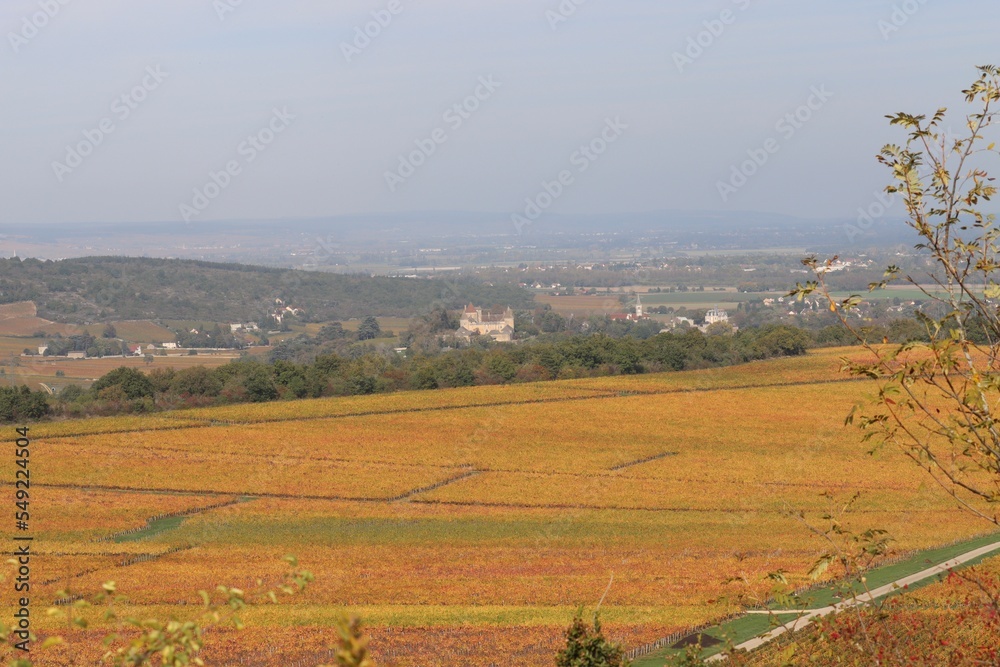 Obraz premium landscape of region Burgundy in France 