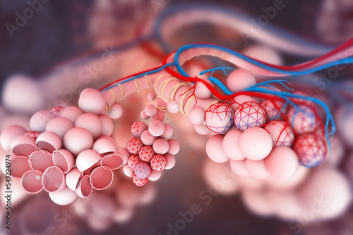 Photos Alveoli in lungs. 3d illustration