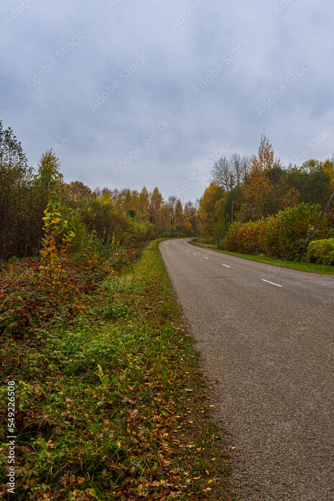 Overcast autumn day on the road