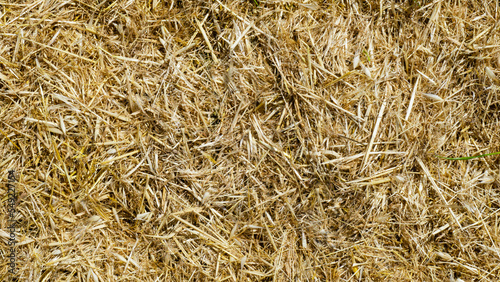 a straw field view from above for background